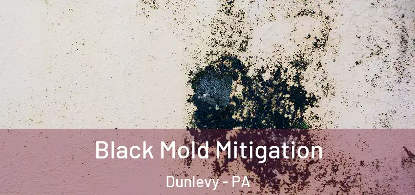  Black Mold Mitigation Dunlevy - PA