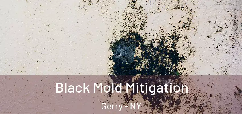 Black Mold Mitigation Gerry - NY