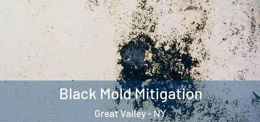  Black Mold Mitigation Great Valley - NY