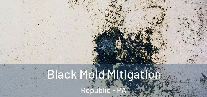  Black Mold Mitigation Republic - PA