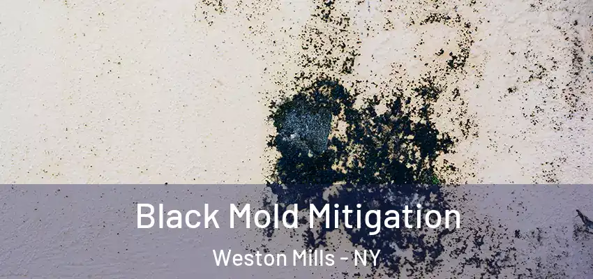  Black Mold Mitigation Weston Mills - NY