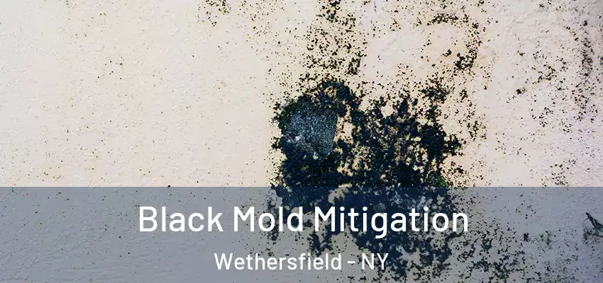 Black Mold Mitigation Wethersfield - NY