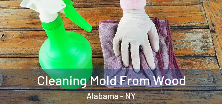  Cleaning Mold From Wood Alabama - NY