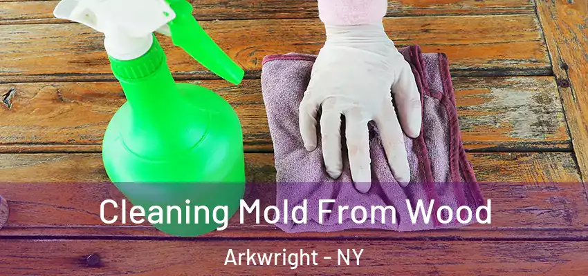  Cleaning Mold From Wood Arkwright - NY