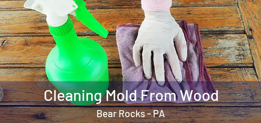 Cleaning Mold From Wood Bear Rocks - PA