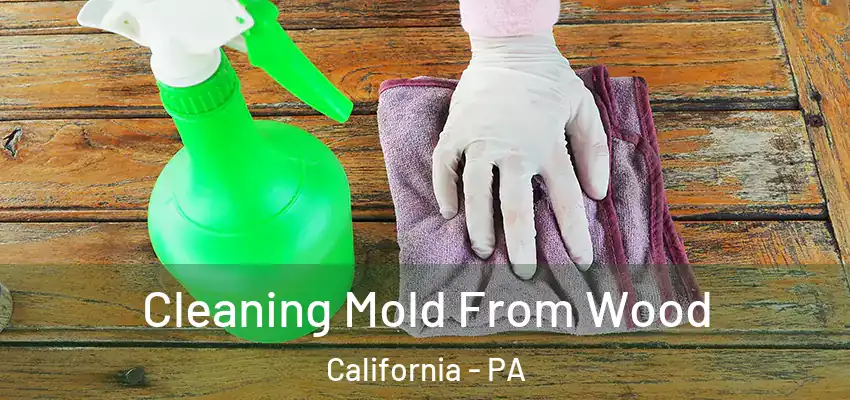  Cleaning Mold From Wood California - PA