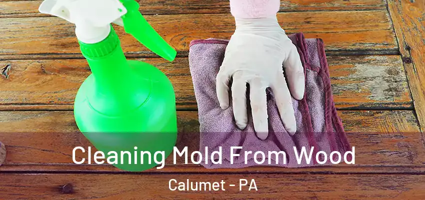  Cleaning Mold From Wood Calumet - PA
