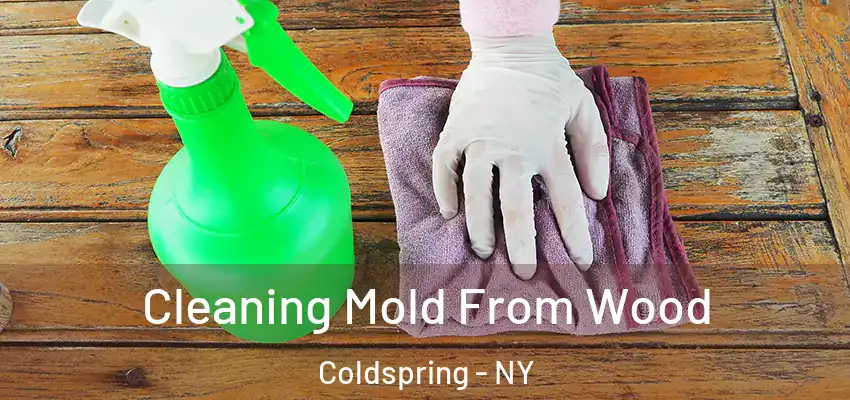  Cleaning Mold From Wood Coldspring - NY