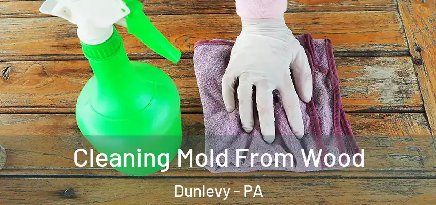  Cleaning Mold From Wood Dunlevy - PA