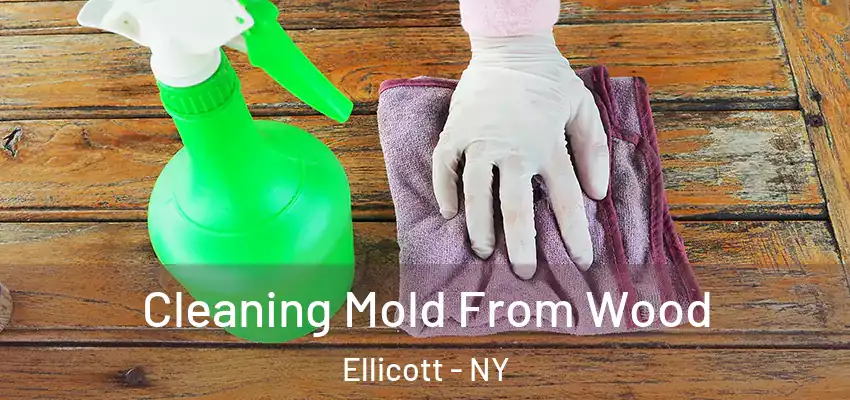  Cleaning Mold From Wood Ellicott - NY
