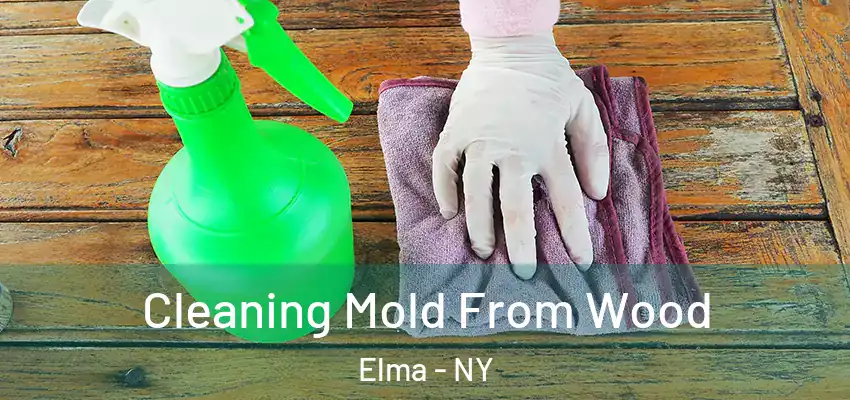  Cleaning Mold From Wood Elma - NY