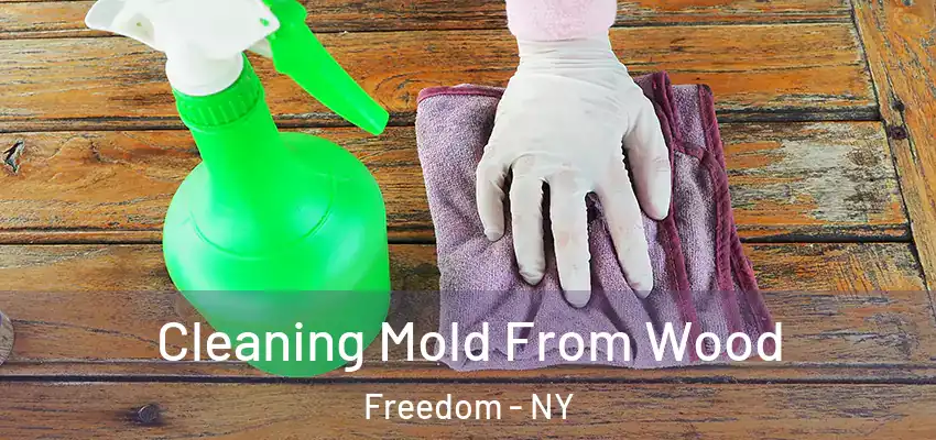  Cleaning Mold From Wood Freedom - NY