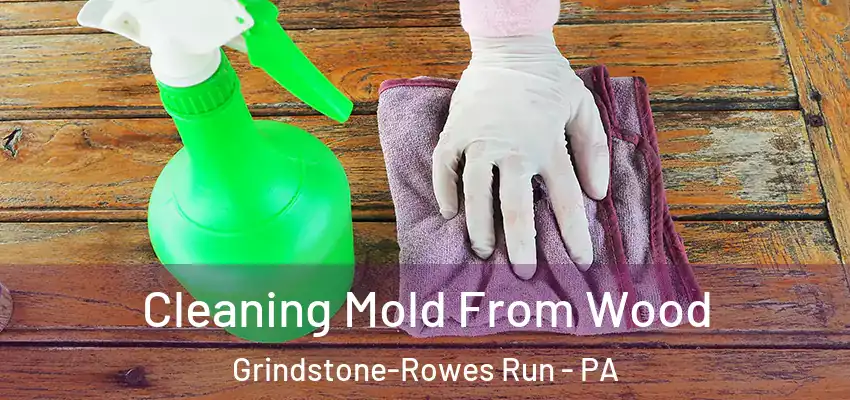  Cleaning Mold From Wood Grindstone-Rowes Run - PA