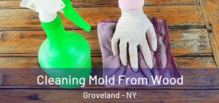 Cleaning Mold From Wood Groveland - NY