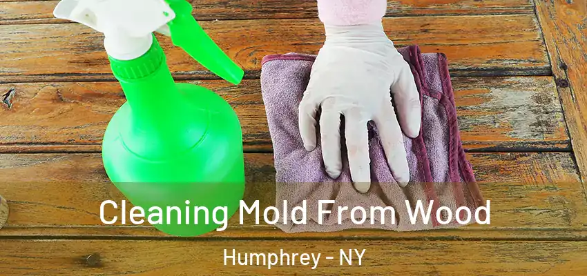  Cleaning Mold From Wood Humphrey - NY