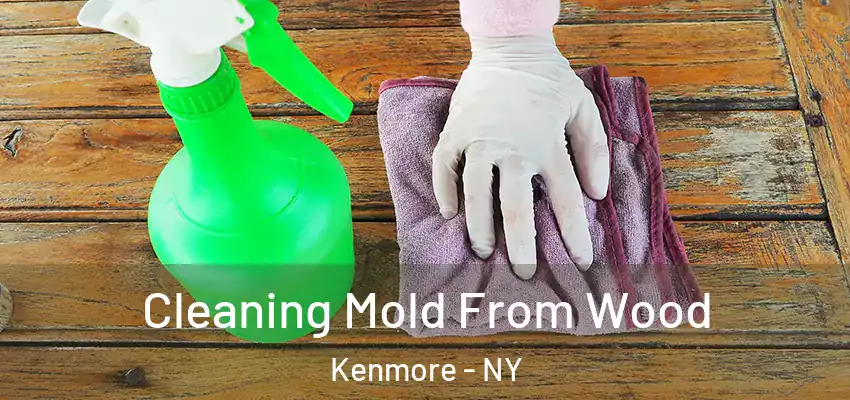  Cleaning Mold From Wood Kenmore - NY