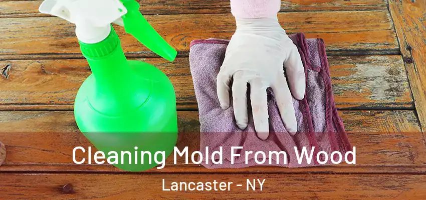  Cleaning Mold From Wood Lancaster - NY
