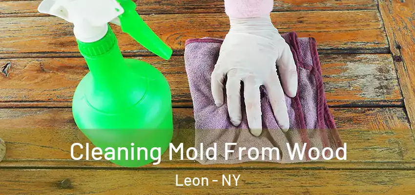  Cleaning Mold From Wood Leon - NY