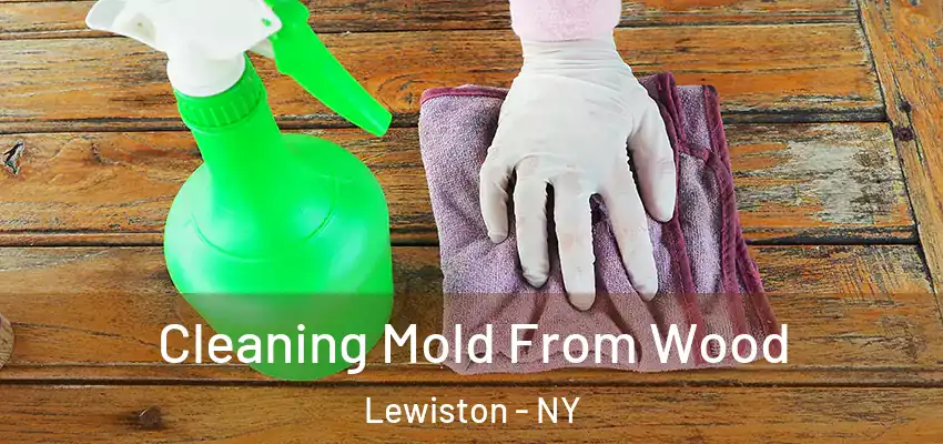  Cleaning Mold From Wood Lewiston - NY