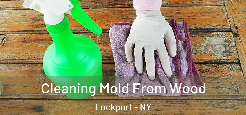  Cleaning Mold From Wood Lockport - NY