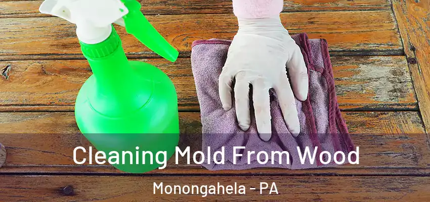  Cleaning Mold From Wood Monongahela - PA