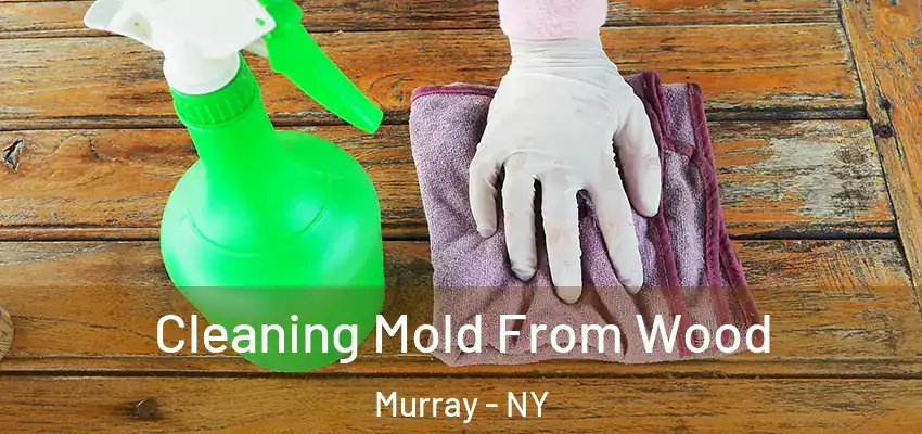 Cleaning Mold From Wood Murray - NY