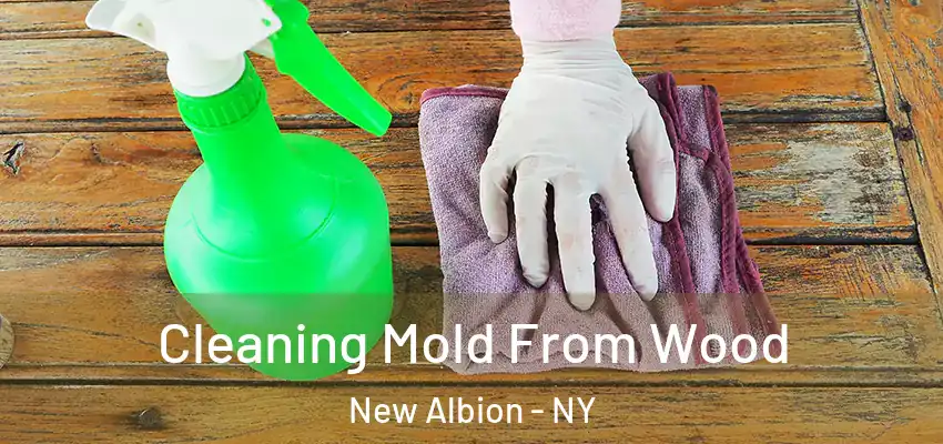Cleaning Mold From Wood New Albion - NY