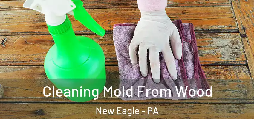  Cleaning Mold From Wood New Eagle - PA