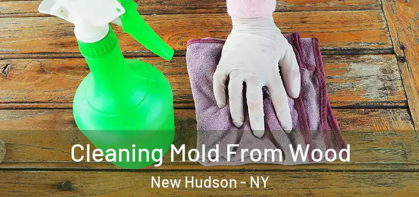  Cleaning Mold From Wood New Hudson - NY