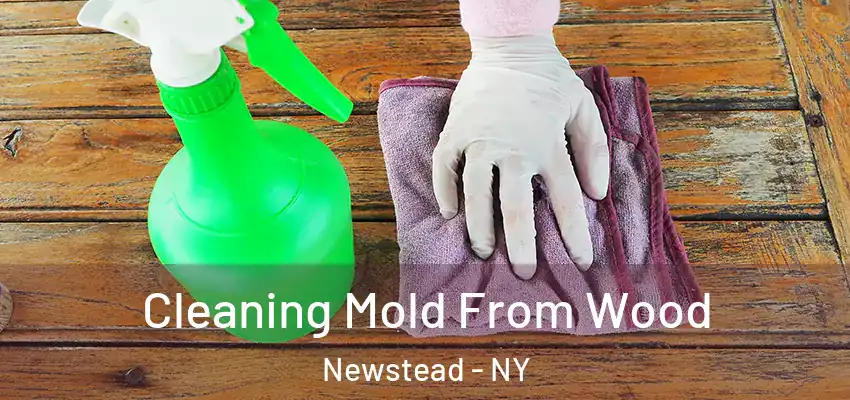  Cleaning Mold From Wood Newstead - NY