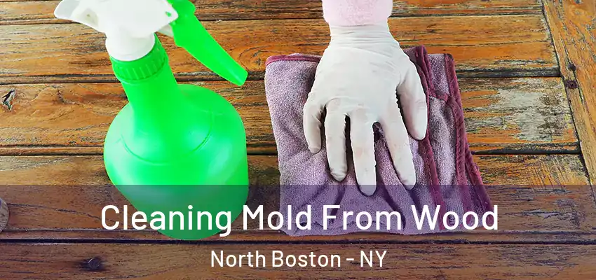 Cleaning Mold From Wood North Boston - NY