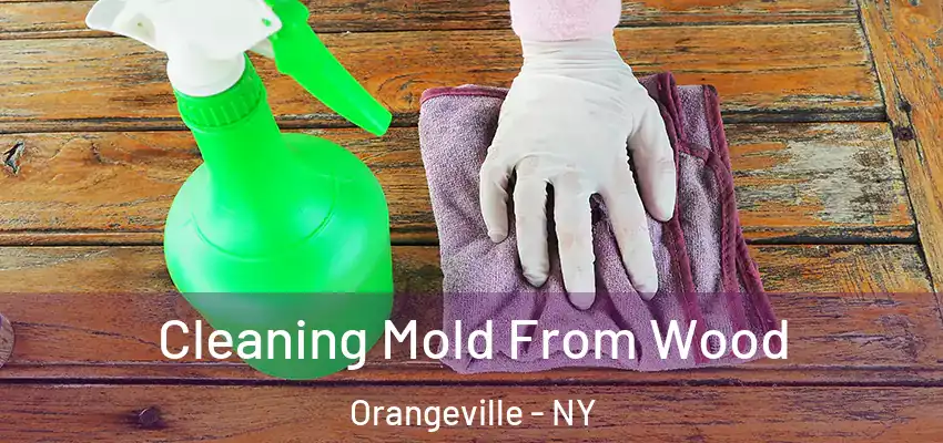  Cleaning Mold From Wood Orangeville - NY