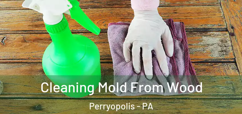  Cleaning Mold From Wood Perryopolis - PA