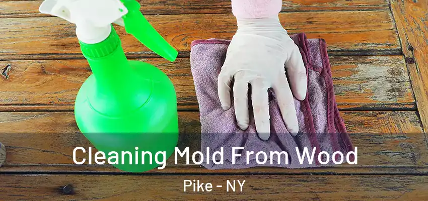  Cleaning Mold From Wood Pike - NY