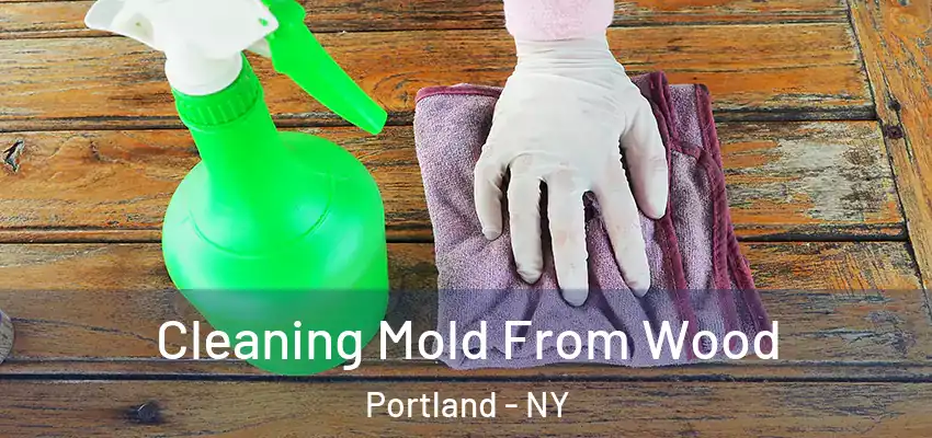 Cleaning Mold From Wood Portland - NY