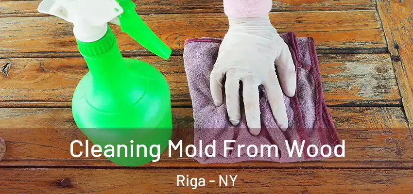 Cleaning Mold From Wood Riga - NY