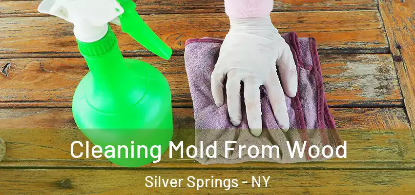 Cleaning Mold From Wood Silver Springs - NY