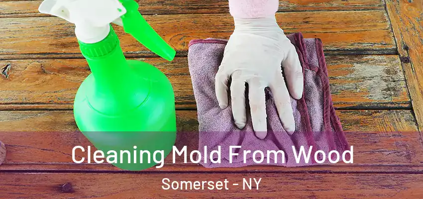  Cleaning Mold From Wood Somerset - NY