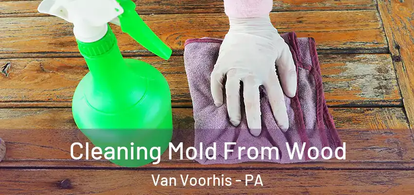 Cleaning Mold From Wood Van Voorhis - PA