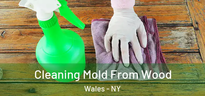  Cleaning Mold From Wood Wales - NY