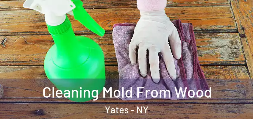  Cleaning Mold From Wood Yates - NY