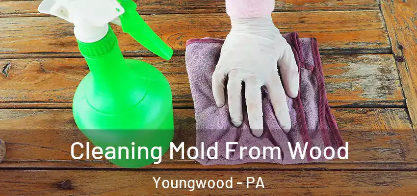  Cleaning Mold From Wood Youngwood - PA