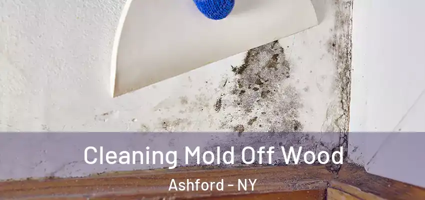  Cleaning Mold Off Wood Ashford - NY