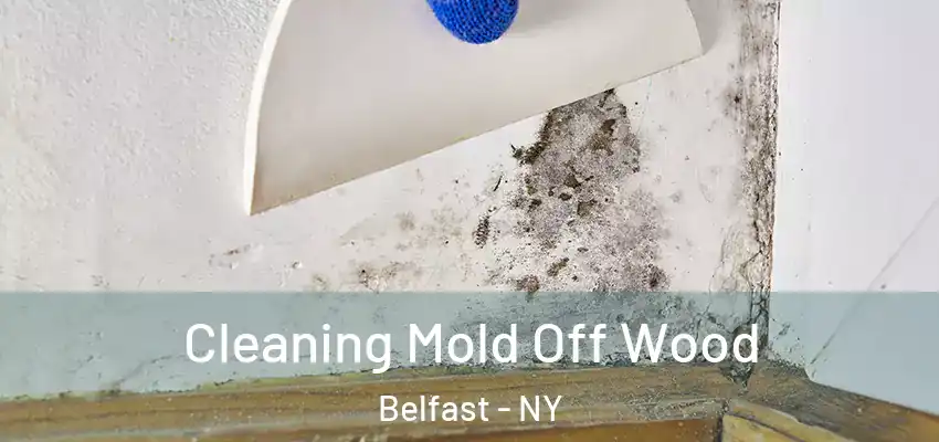  Cleaning Mold Off Wood Belfast - NY