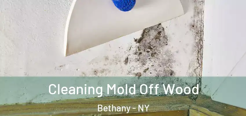  Cleaning Mold Off Wood Bethany - NY