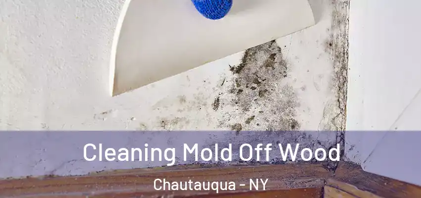 Cleaning Mold Off Wood Chautauqua - NY