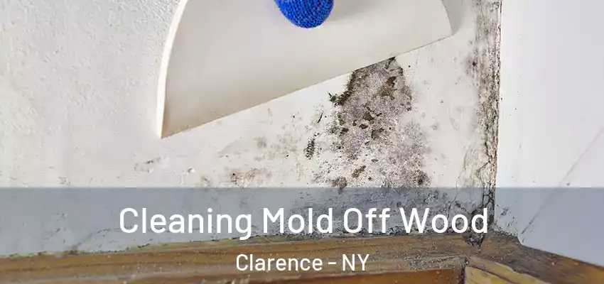  Cleaning Mold Off Wood Clarence - NY