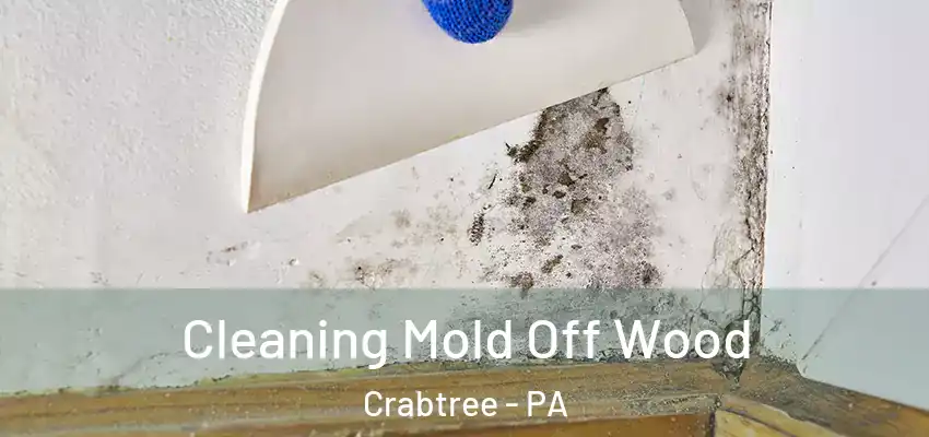  Cleaning Mold Off Wood Crabtree - PA