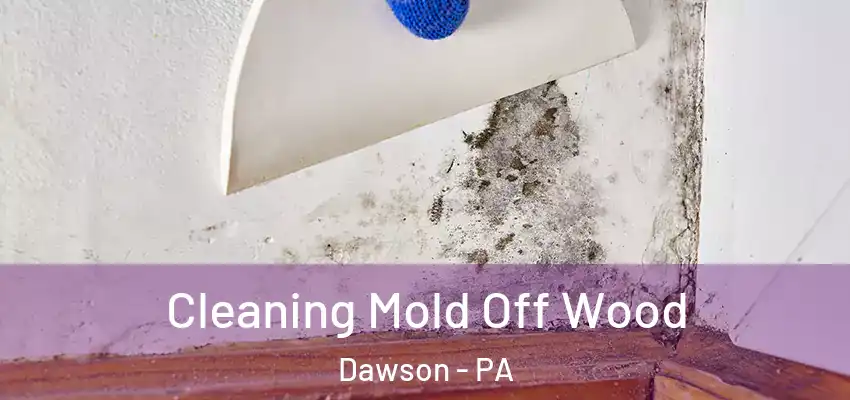  Cleaning Mold Off Wood Dawson - PA
