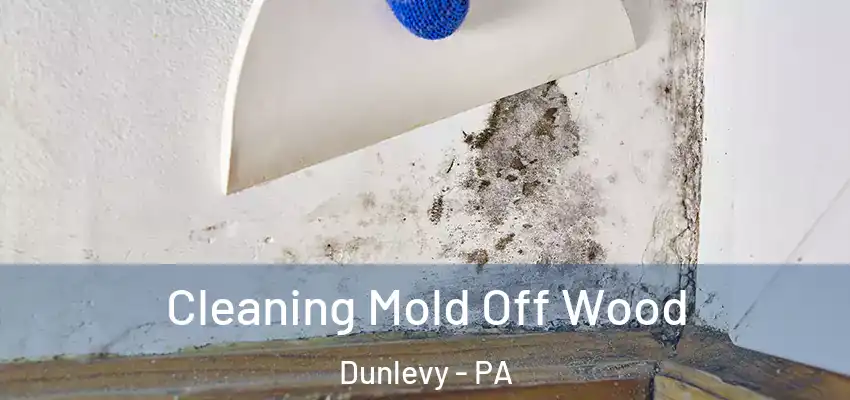  Cleaning Mold Off Wood Dunlevy - PA